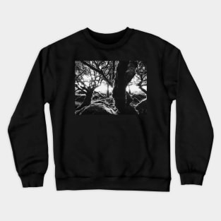 Black and White Shot of Ancient Whistman's Wood at Sunrise (Dartmoor NP, England) Crewneck Sweatshirt